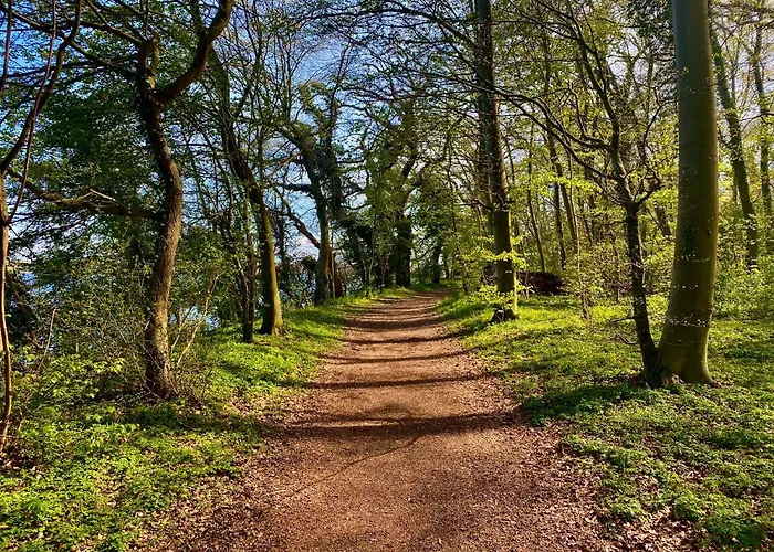 Lystskoven Skælskør